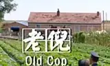 老倪