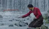生命之轮