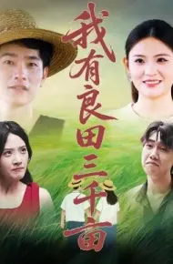 我有良田三千亩