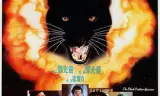 黑豹天下