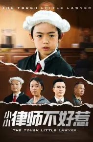 小小律师不好惹