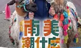 南美潮什么
