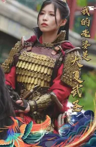 我的老婆是大夏武圣
