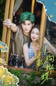 小狗抓蝴蝶