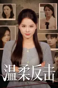 温柔反击