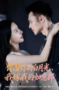 你娶你的白月光我嫁我的如意郎