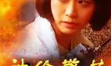 神偷警花