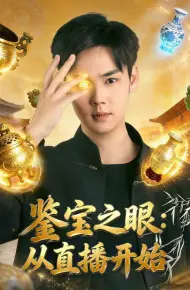 鉴宝之眼:从直播开始