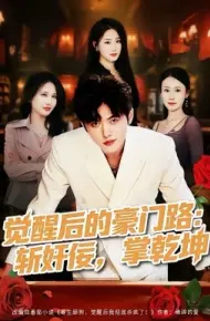 觉醒后的豪门路：斩奸佞掌乾坤