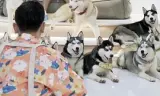 恋爱游戏