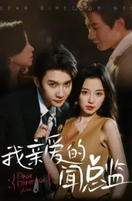 我亲爱的闻总监