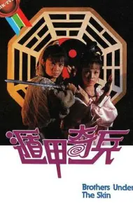 遁甲奇兵国语