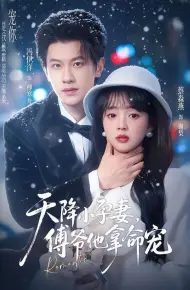 天降小孕妻，傅爷他拿命宠