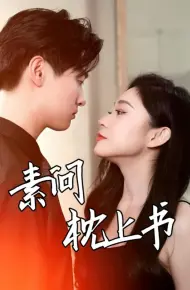 素问枕上书