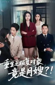 重生之报复对象竟是月嫂