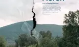 蓝鹭