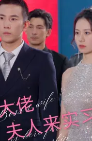 大佬夫人来实习