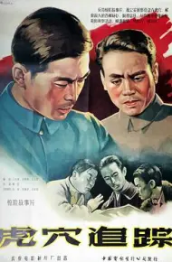 虎穴追踪