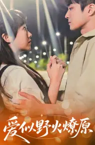 爱似野火燎原
