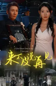 来不及说再见