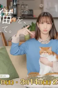 我收留了前男友的猫