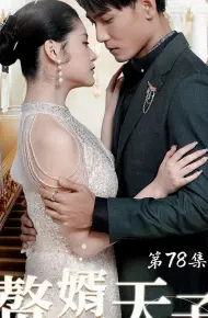 赘婿天子