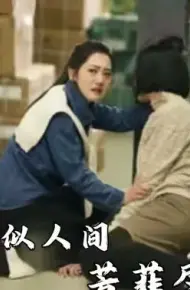 恰似人间芳菲尽