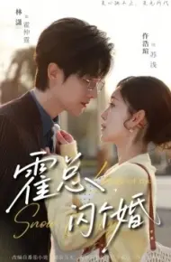 霍总闪个婚