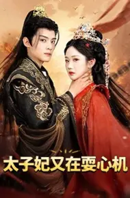 太子妃又在耍心机