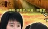 石榴的滋味