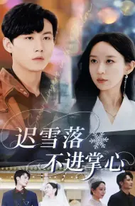 迟雪落不进掌心