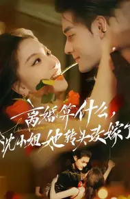 离婚算什么，沈小姐她转头改嫁了（又争又抢，萧爷他只想上位）