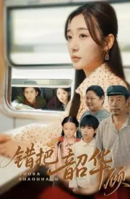 错把韶华顾