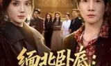缅北卧底:大嫂团都成我队友