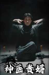 神医贵婿