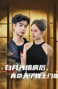 白月光塌房后,真命天子找上门啦