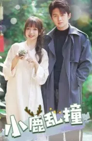 小鹿乱撞
