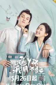 这丫环我用不起
