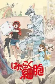 工作细胞第一季（普通话版）