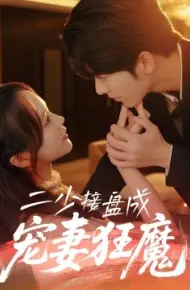 二少接盘成宠妻狂魔