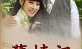 孽情记
