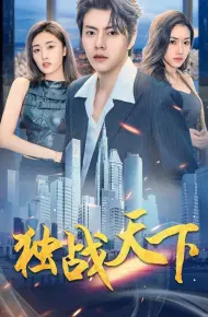 独战天下