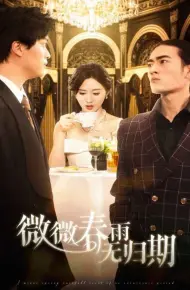 微微春雨无归期