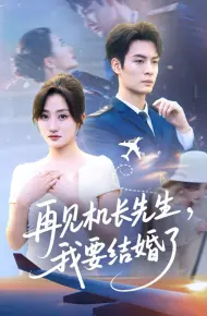 再见机长先生，我要结婚了