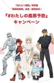 工作细胞特别篇:感冒国语版