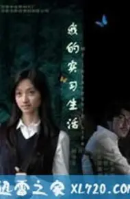 我的实习生活