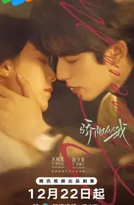 骄阳似我（2025）