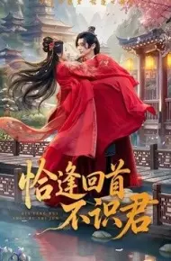 恰逢回首不识君