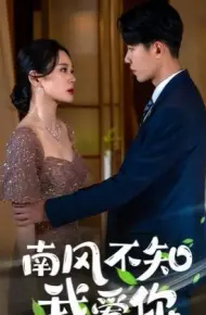 南风不知我爱你