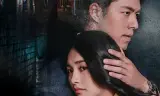 罪在爱你